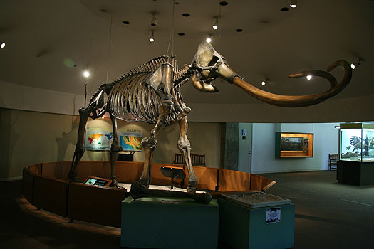 IMG_5126i.jpg IMG_5126i.jpg