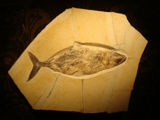 20.jpg 20.jpg