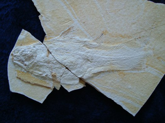 06.jpg 06.jpg