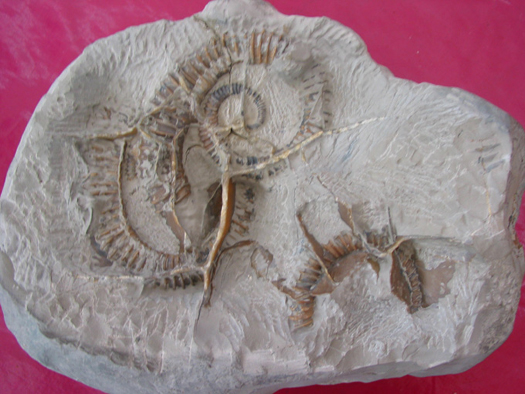 Uwe_Geode_002.jpg Uwe_Geode_002.jpg