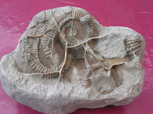 Uwe_Geode_003.jpg Uwe_Geode_003.jpg