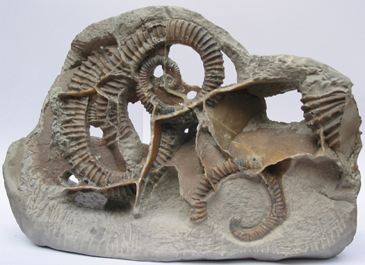 Uwe_Geode_004.jpg Uwe_Geode_004.jpg