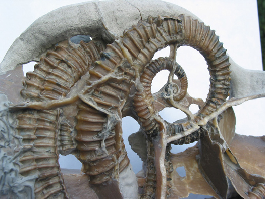 Uwe_Geode_006.jpg Uwe_Geode_006.jpg