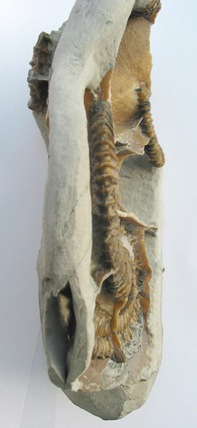 Uwe_Geode_007.jpg Uwe_Geode_007.jpg