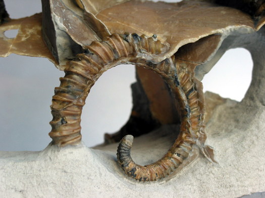 Uwe_Geode_008.jpg Uwe_Geode_008.jpg