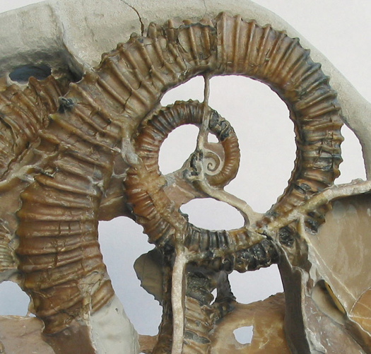 Uwe_Geode_009.jpg Uwe_Geode_009.jpg
