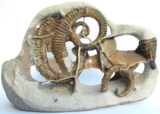 Uwe_Geode_011.jpg Uwe_Geode_011.jpg