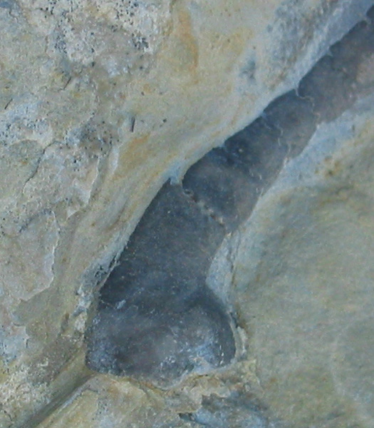 Uwe_Alverdissen_0006.jpg Uwe_Alverdissen_0006.jpg