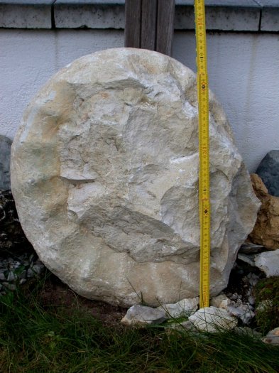 Schritt1.jpg Schritt1.jpg
