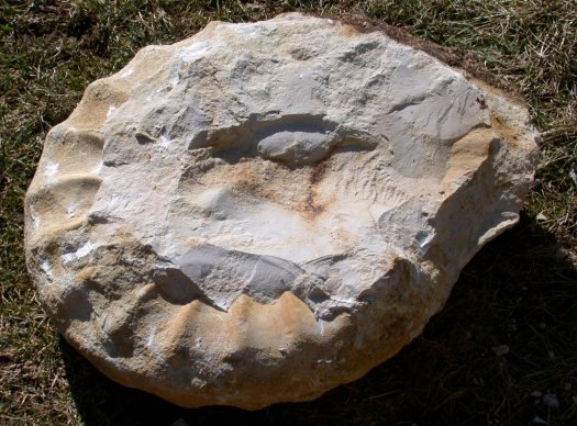 Schritt3.jpg Schritt3.jpg