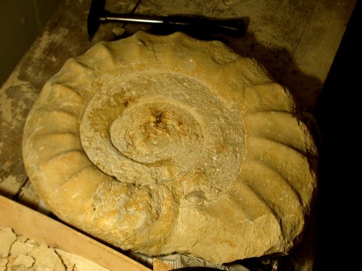Schritt5.jpg Schritt5.jpg