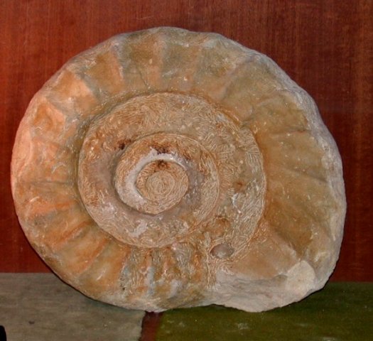 Schritt6.jpg Schritt6.jpg