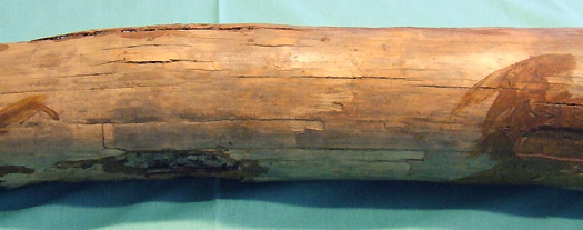 19.jpg 19.jpg