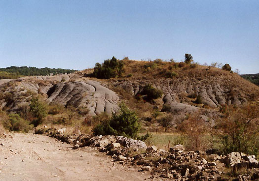 21978.jpg 21978.jpg