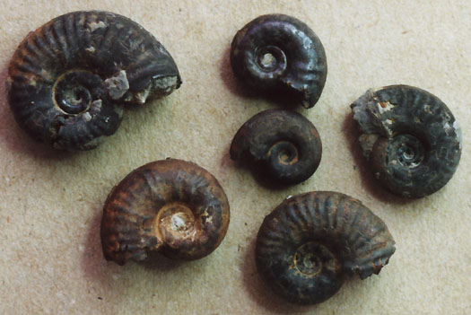 22226.jpg 22226.jpg