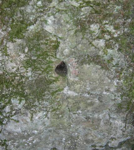 Bild18.JPG Bild18.JPG