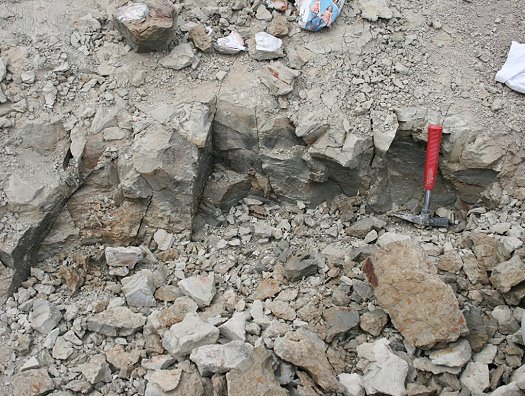 Abb._7_Rosenberg_Subformation_Lonsheim_Foto_Keller.jpg Abb._7_Rosenberg_Subformation_Lonsheim_Foto_Keller.jpg