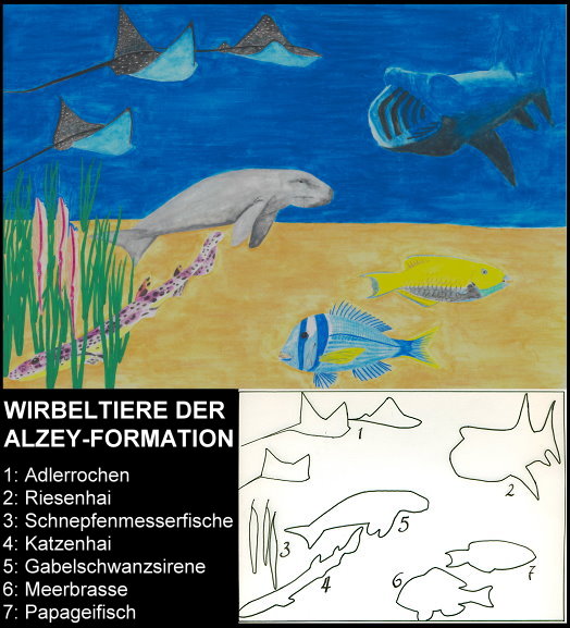Abb34_Alzey_Formation.jpg Abb34_Alzey_Formation.jpg