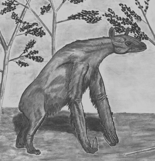 Abb112_Calicotherium_Eppelsheim_Formation_Mainzer_Becken.jpg Abb112_Calicotherium_Eppelsheim_Formation_Mainzer_Becken.jpg