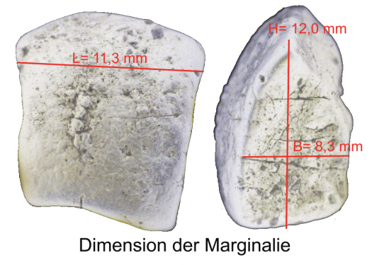 Abb12__Crateraster_Dimension.jpg Abb12__Crateraster_Dimension.jpg