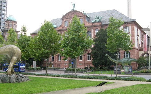 Senckenberg.JPG Senckenberg.JPG