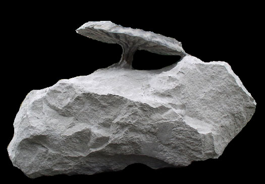 06 - Fossil des Monats Juni 2011