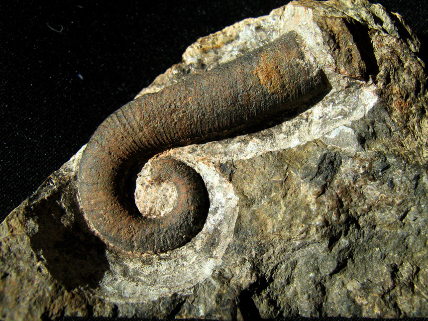 Steinkern.de Die Galerie Kategorie