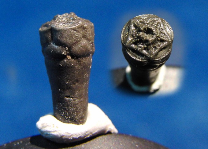 Crinoide
