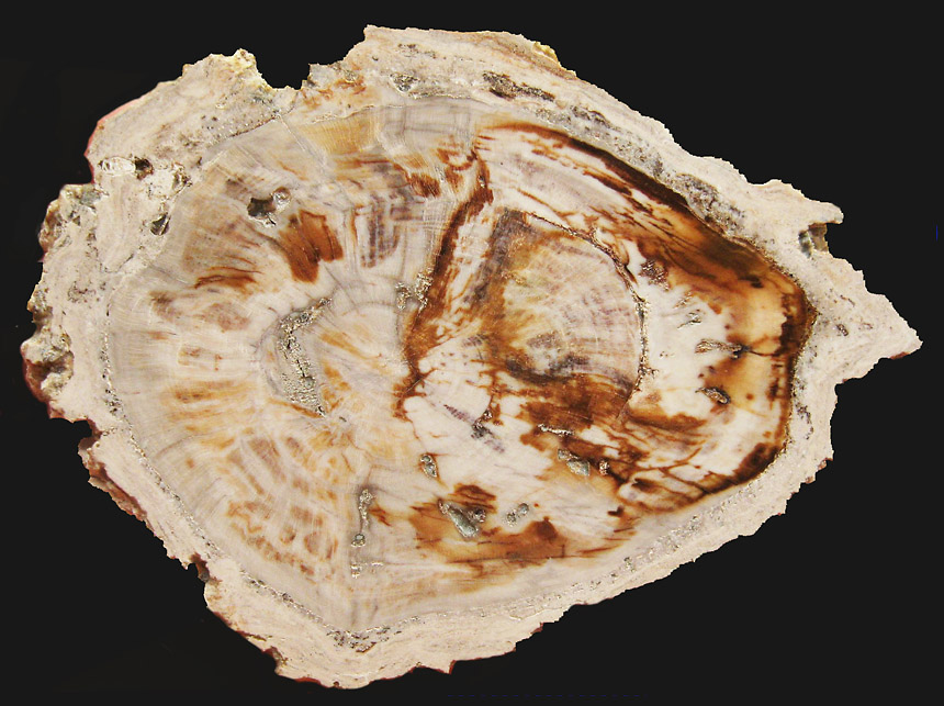 Holz mit Rinde