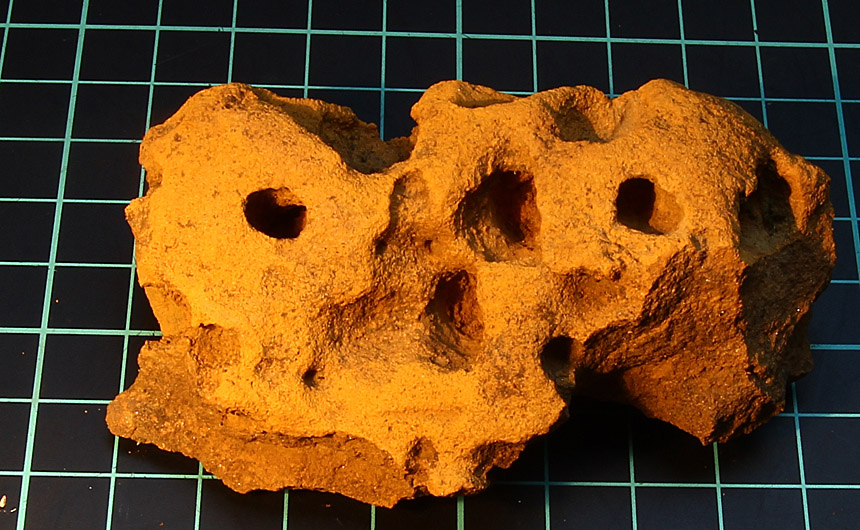 Sandstein mit Bohrmuschellöchern