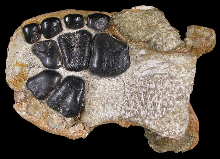 Steinkern.de Die Galerie Kategorie Franken