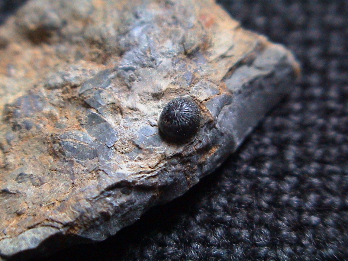 Steinkern.de Die Galerie Kategorie