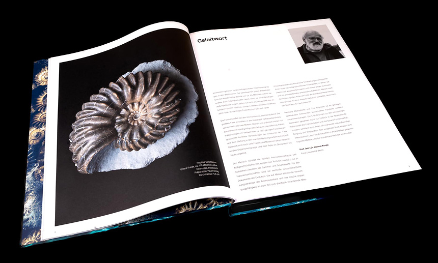 02 ammonite masterpieces