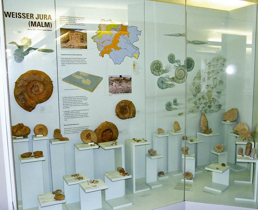Steinkern.de - Die Fossilien-Community - Museen