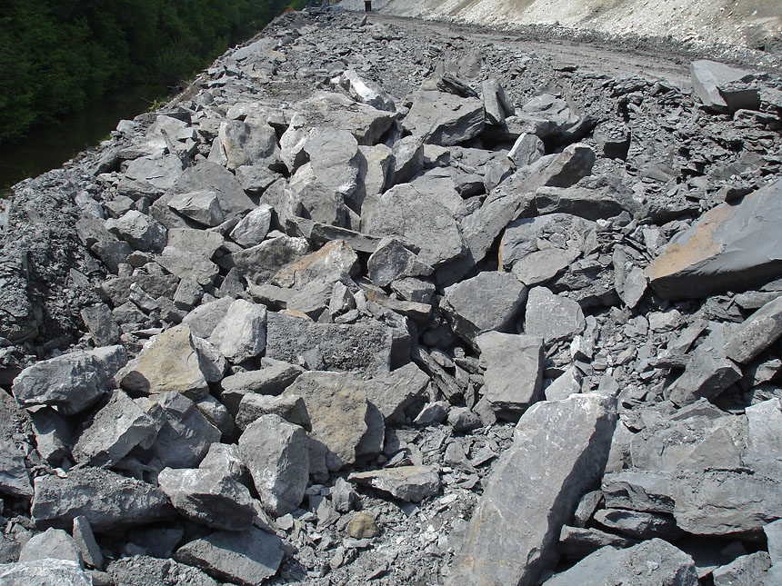 Steinkern.de - Die Fossilien-Community - Rezension: „Eine Reise in den