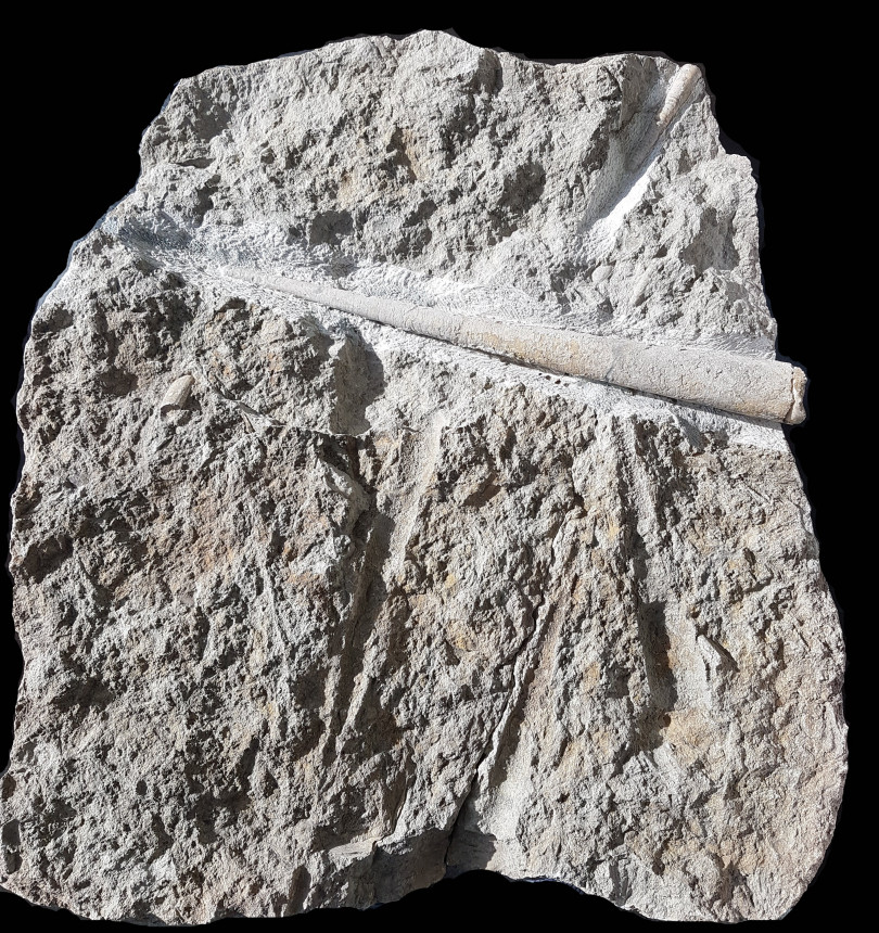 Steinkern.de Die Galerie Kategorie