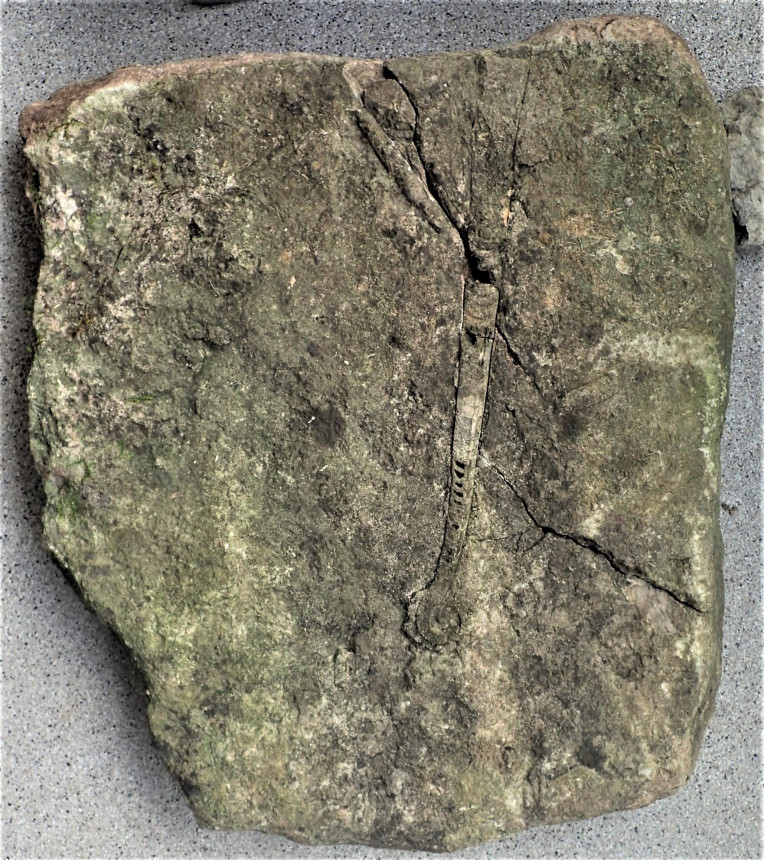 Steinkern.de Die Galerie Kategorie