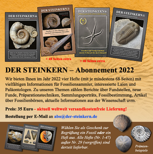 jahresabo2020 der steinkern
