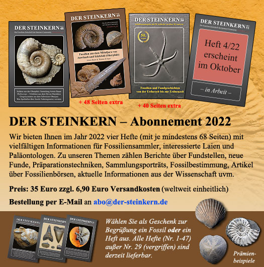 jahresabo2020 der steinkern