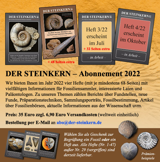 jahresabo2020 der steinkern