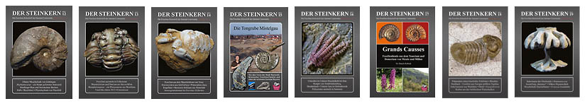 der-steinkern-fossilien-zeitschrift